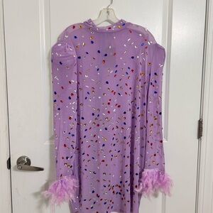 Purple Feathered Long Sleeve mesh Dress